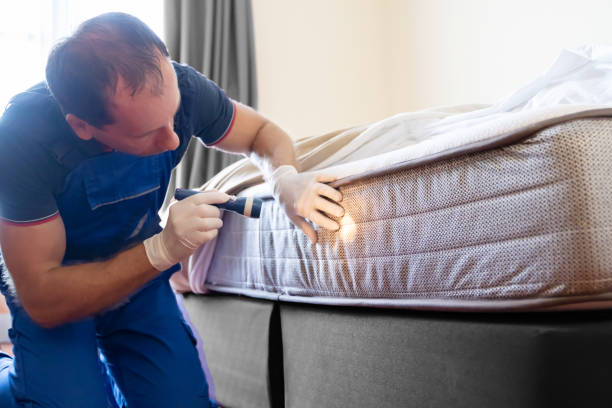 Best Fumigation Services  in Kaukauna, WI